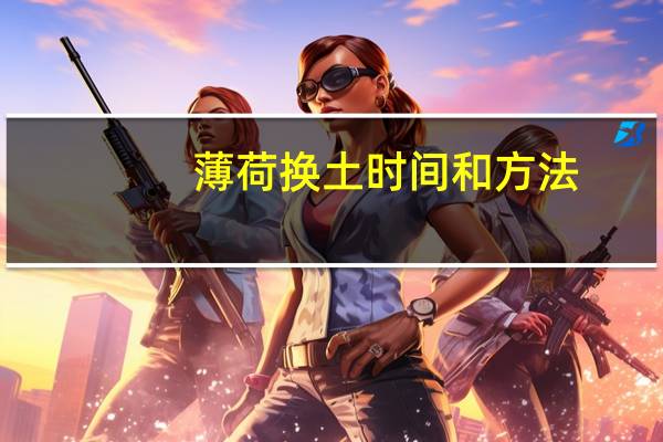 薄荷换土时间和方法