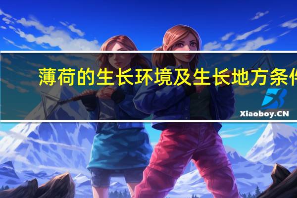 薄荷的生长环境及生长地方条件