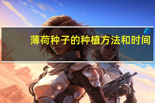 薄荷种子的种植方法和时间