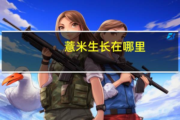 薏米生长在哪里