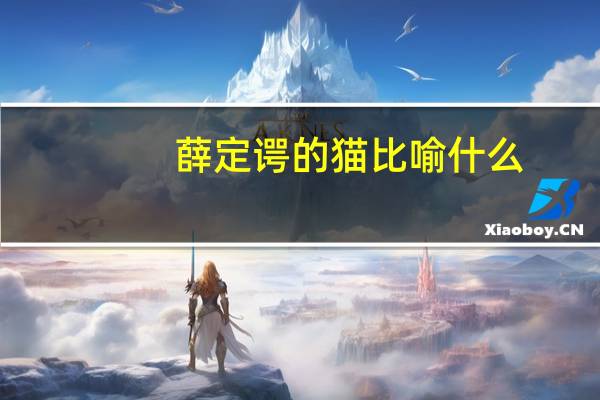 薛定谔的猫比喻什么