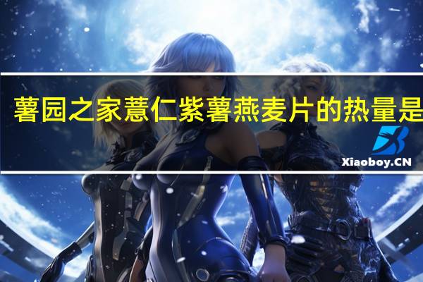 薯园之家 薏仁紫薯燕麦片的热量是多少