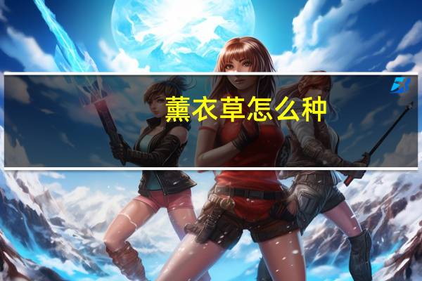 薰衣草怎么种