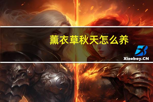 薰衣草秋天怎么养