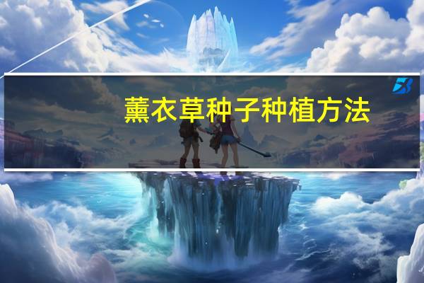 薰衣草种子种植方法