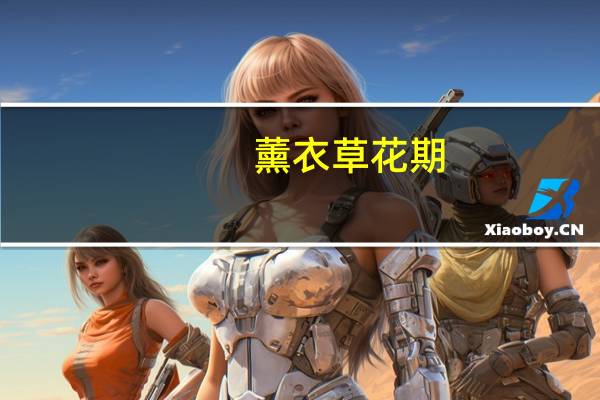 薰衣草花期：一般为6-8月份