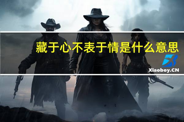 藏于心不表于情是什么意思