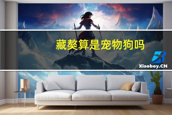 藏獒算是宠物狗吗