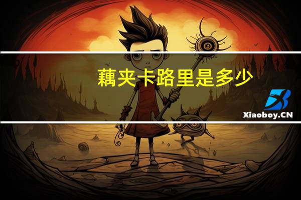 藕夹卡路里是多少