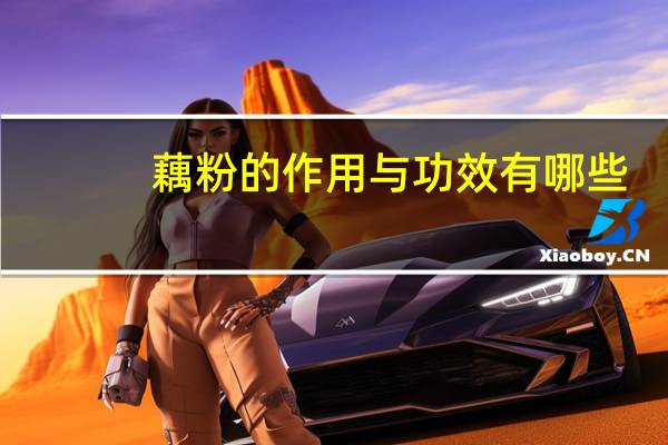 藕粉的作用与功效有哪些(藕粉的作用与功效)