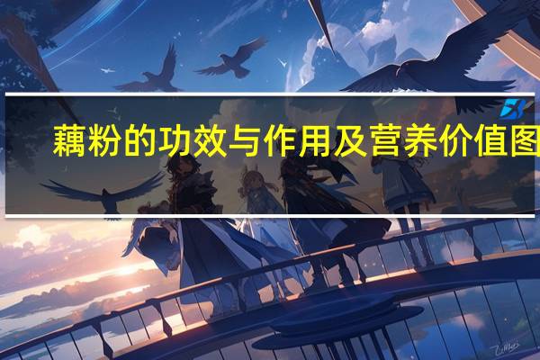 藕粉的功效与作用及营养价值图文（藕粉的功效与副作用）