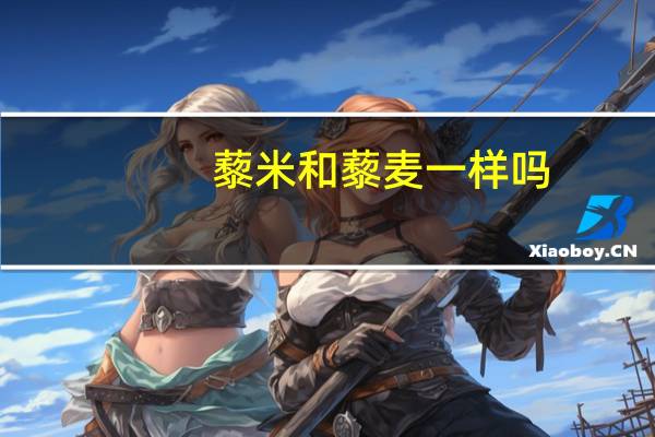 藜米和藜麦一样吗