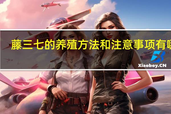 藤三七的养殖方法和注意事项有哪些