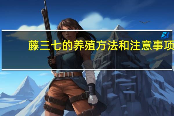 藤三七的养殖方法和注意事项