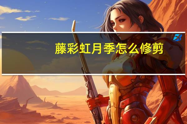 藤彩虹月季怎么修剪