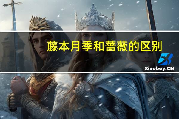 藤本月季和蔷薇的区别