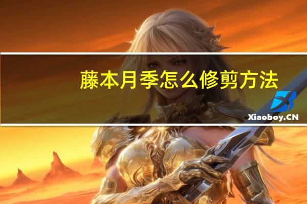 藤本月季怎么修剪方法