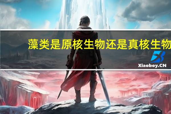 藻类是原核生物还是真核生物