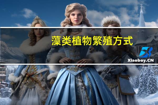 藻类植物繁殖方式