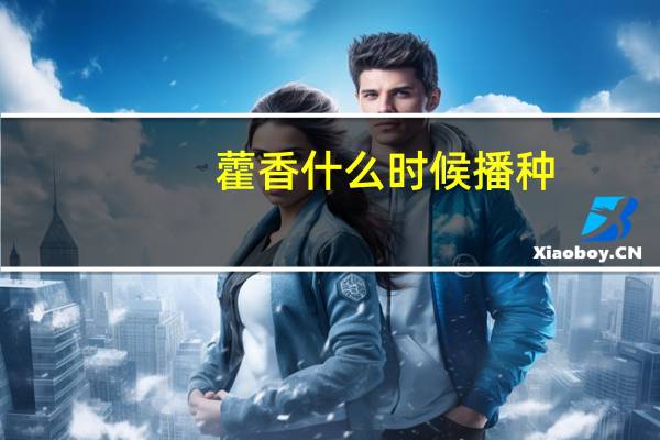 藿香什么时候播种