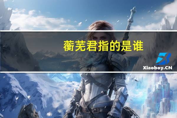 蘅芜君指的是谁