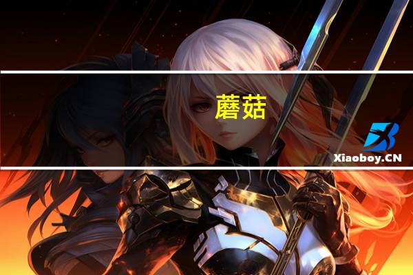 蘑菇（关于蘑菇的介绍）