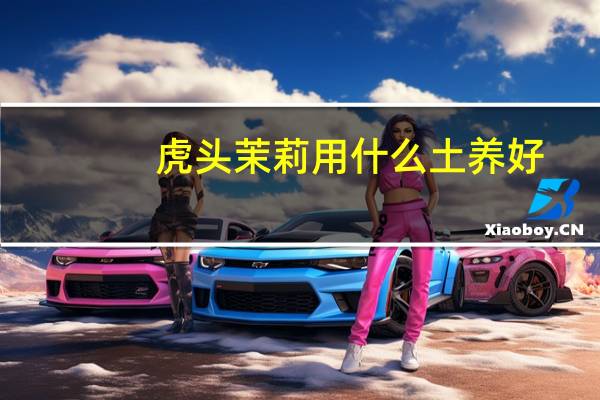 虎头茉莉用什么土养好