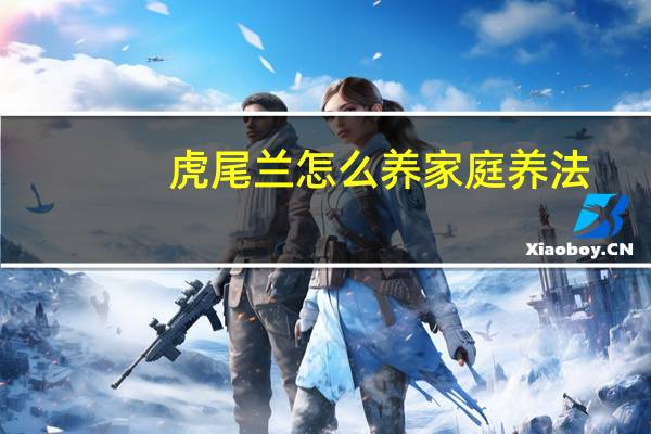 虎尾兰怎么养家庭养法