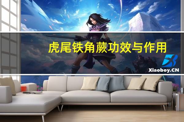 虎尾铁角蕨功效与作用