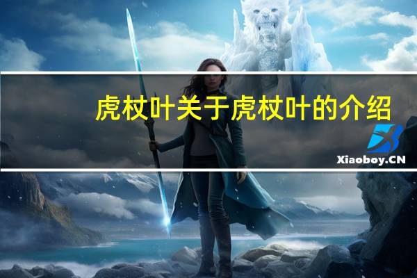 虎杖叶 关于虎杖叶的介绍