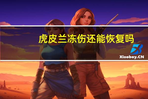 虎皮兰冻伤还能恢复吗