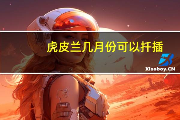 虎皮兰几月份可以扦插