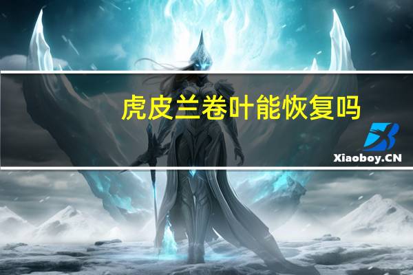 虎皮兰卷叶能恢复吗