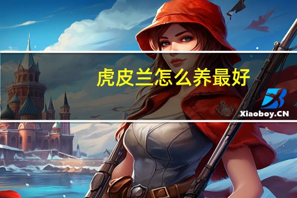 虎皮兰怎么养最好