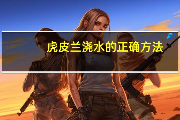 虎皮兰浇水的正确方法