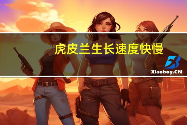 虎皮兰生长速度快慢