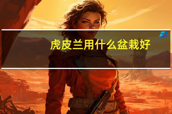 虎皮兰用什么盆栽好