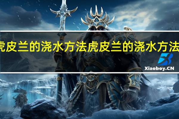 虎皮兰的浇水方法 虎皮兰的浇水方法是什么