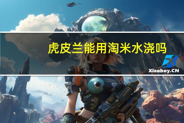 虎皮兰能用淘米水浇吗