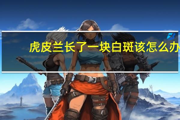 虎皮兰长了一块白斑该怎么办