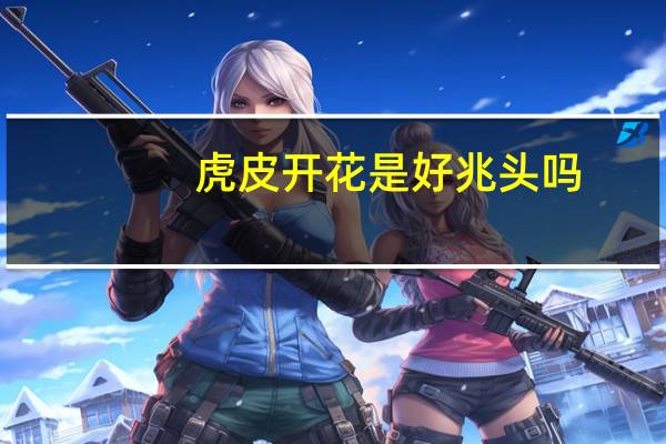 虎皮开花是好兆头吗
