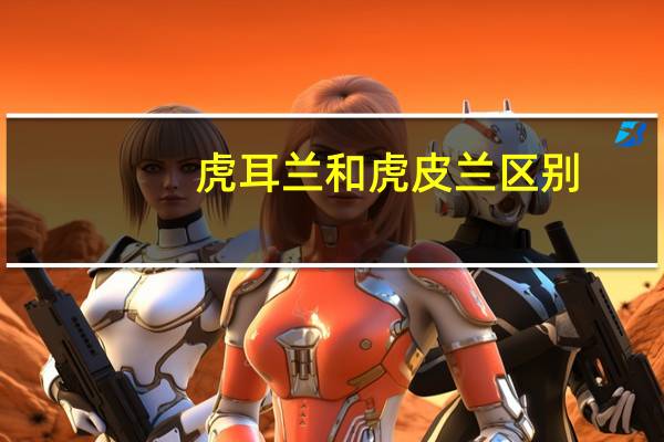 虎耳兰和虎皮兰区别