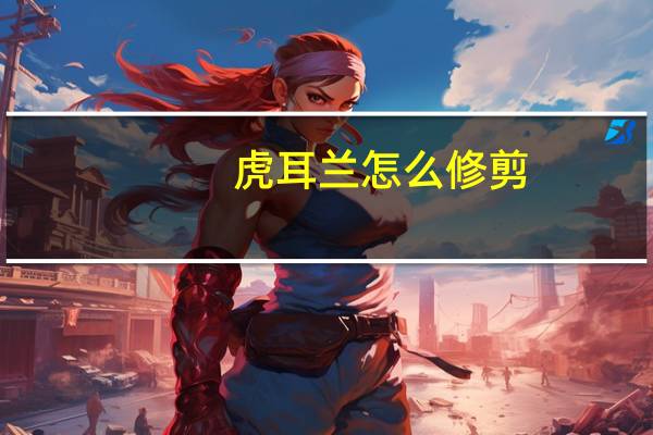 虎耳兰怎么修剪