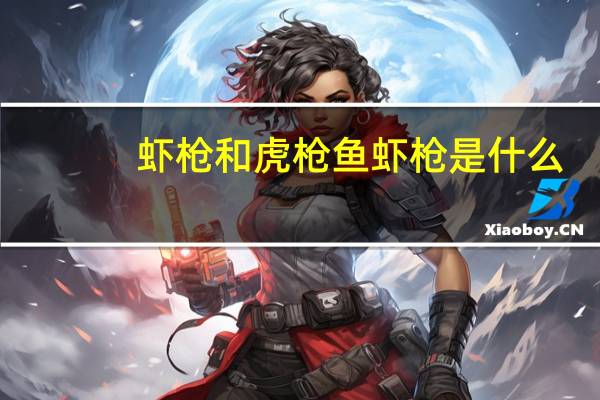 虾枪和虎枪鱼 虾枪是什么