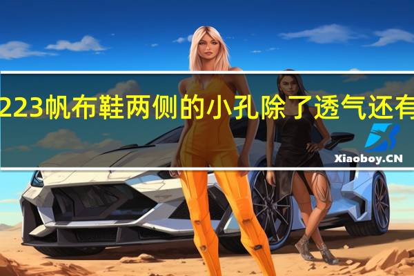 蚂蚁庄园1223帆布鞋两侧的小孔除了透气还有什么用答案分享