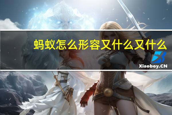 蚂蚁怎么形容又什么又什么