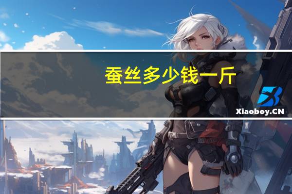 蚕丝多少钱一斤