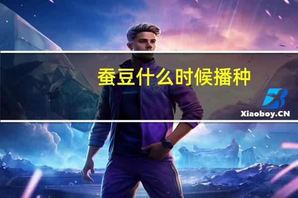 蚕豆什么时候播种