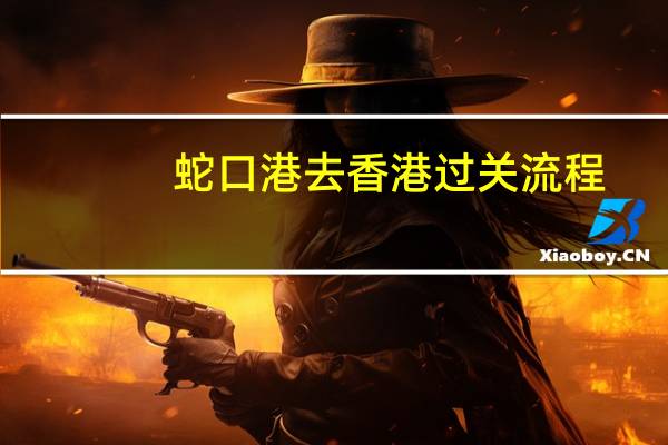 蛇口港去香港过关流程