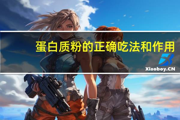 蛋白质粉的正确吃法和作用